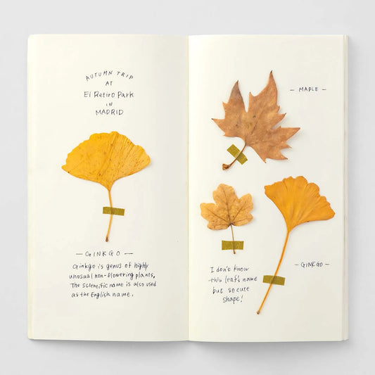 Traveler’s Notebook Refill 025 – MD Paper Cream | Regular Size