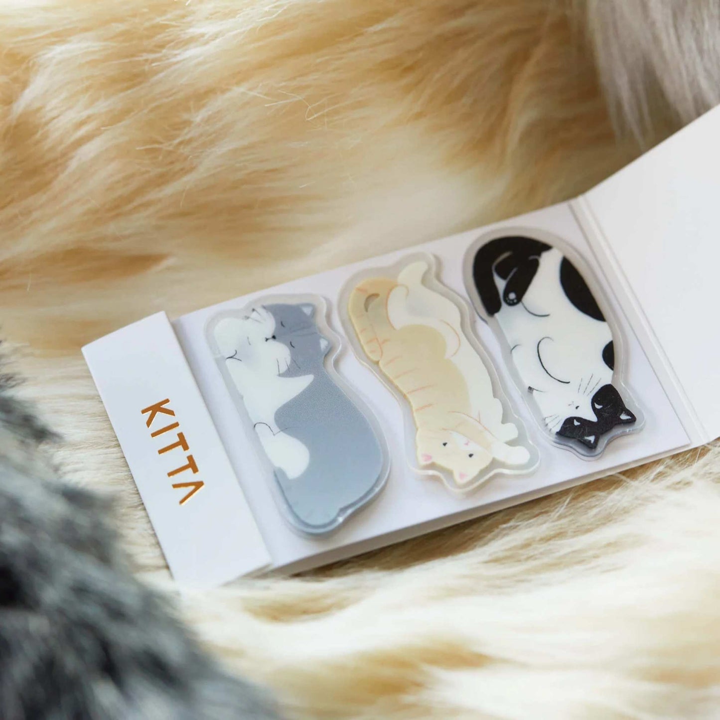 KITTA Clear PET Tape Cat Nap with transparent sleeping cat die-cut shap