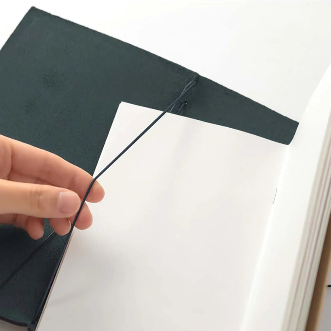 Traveler’s Notebook – Blue | Regular Size