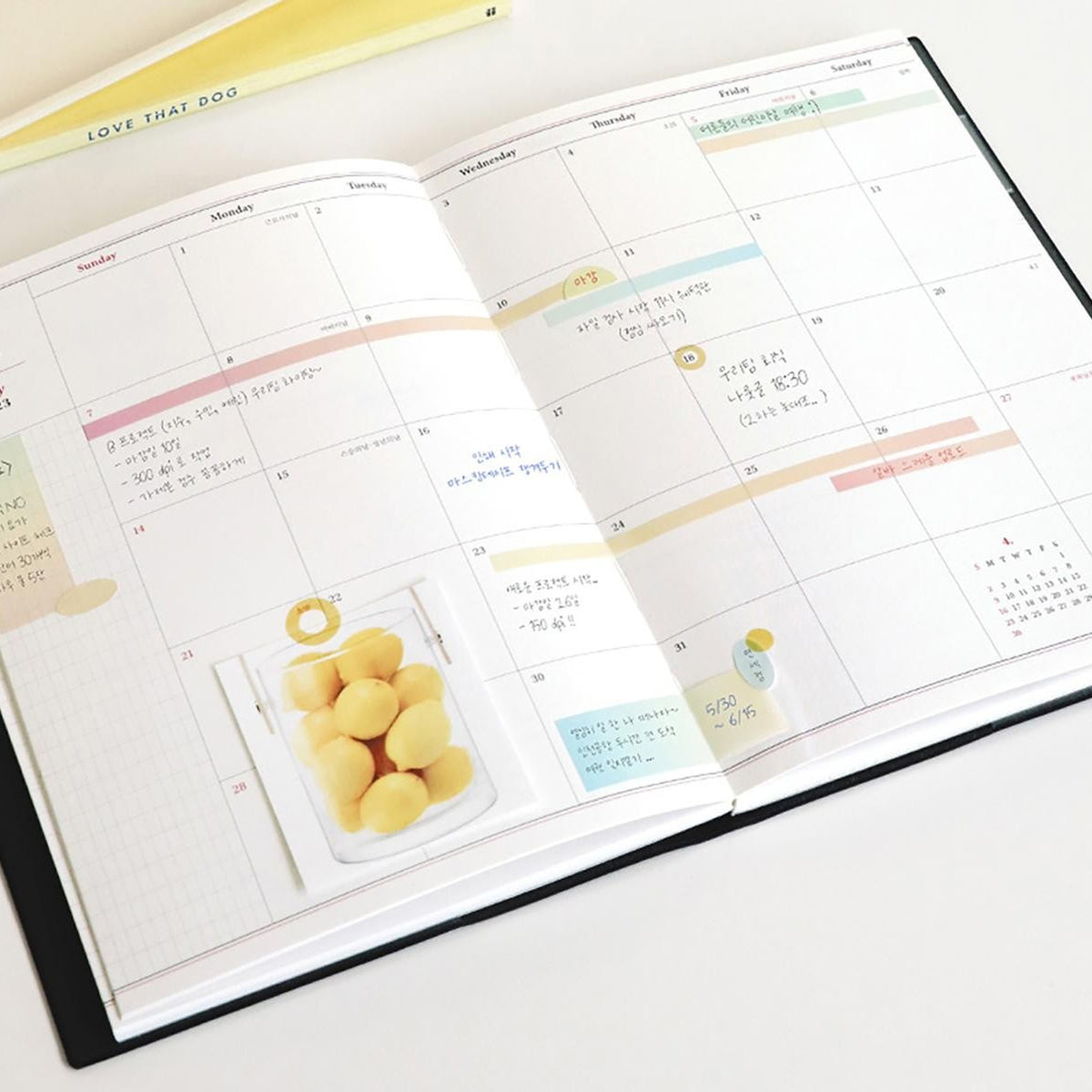Iconic Long strips highlighting dates in a planner